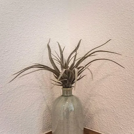 Sack-time Fashion Boutique Zandvoort