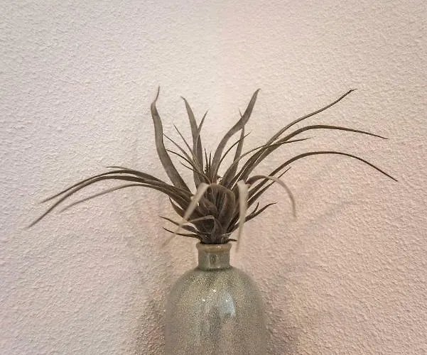 Sack-time Fashion Boutique Zandvoort